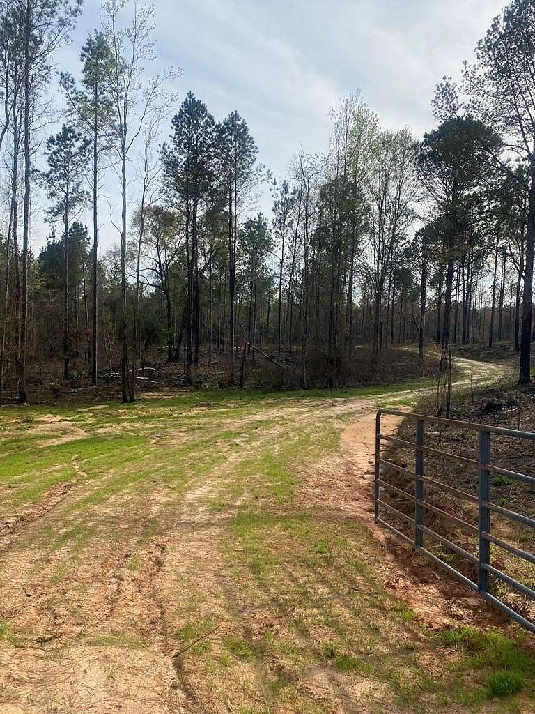 140 Acres of Recreational Land for Sale in Banks, Alabama