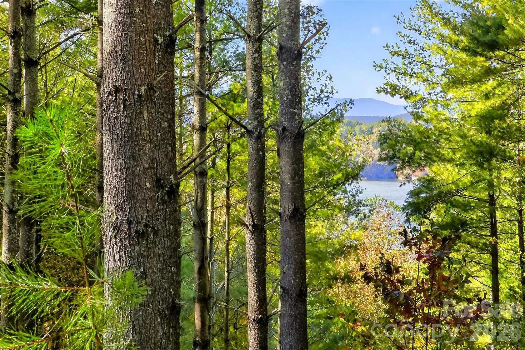 3 Acres of Residential Land for Sale in Nebo, North Carolina