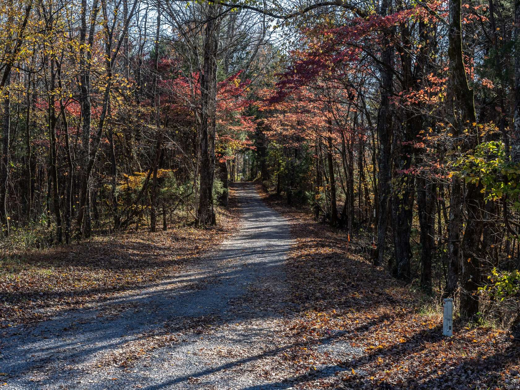 16 Acres of Land for Sale in Ashland City, Tennessee