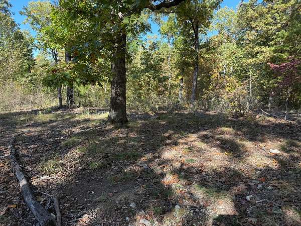 5 Acres of Residential Land for Sale in Cave City, Arkansas