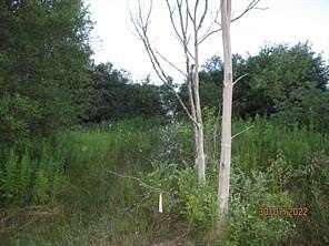 59 Acres of Recreational Land for Sale in South Plymouth, New York