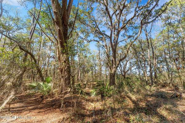 20 Acres of Land for Sale in Jacksonville, Florida