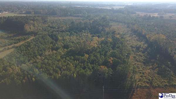 6.56 Acres of Residential Land for Sale in Florence, South Carolina