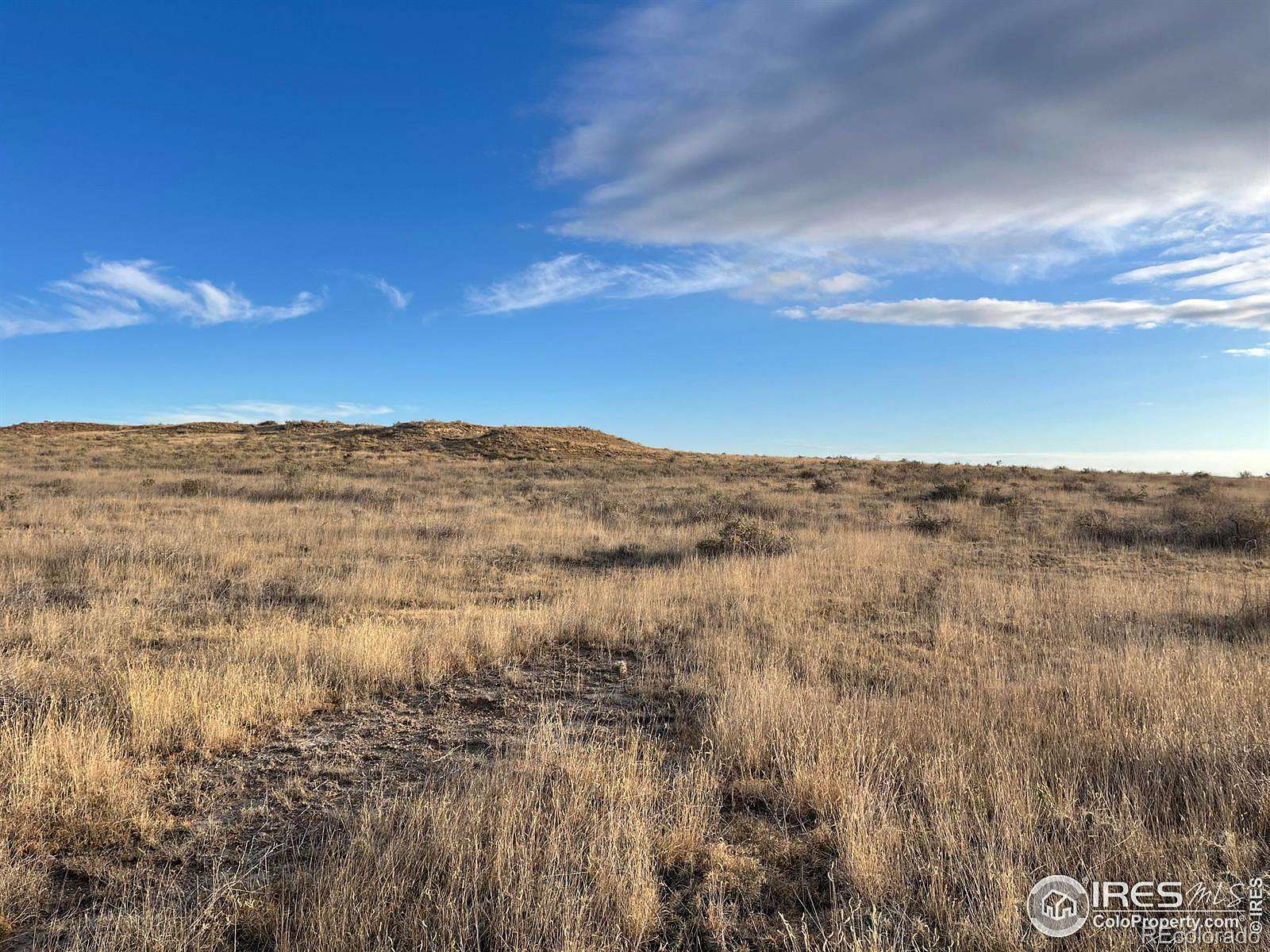 40 Acres of Land for Sale in Briggsdale, Colorado