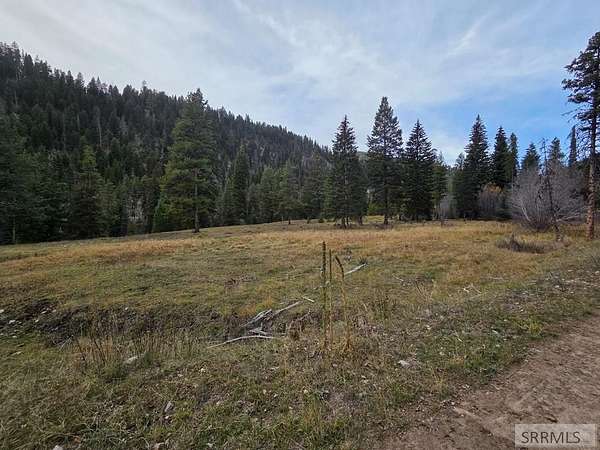2.8 Acres of Residential Land for Sale in Gibbonsville, Idaho
