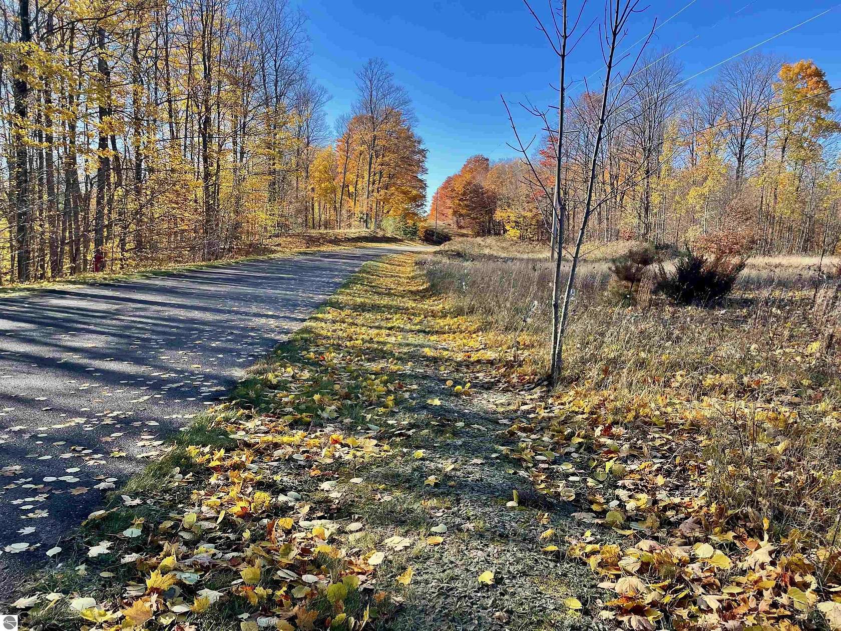 0.45 Acres of Residential Land for Sale in Bellaire, Michigan