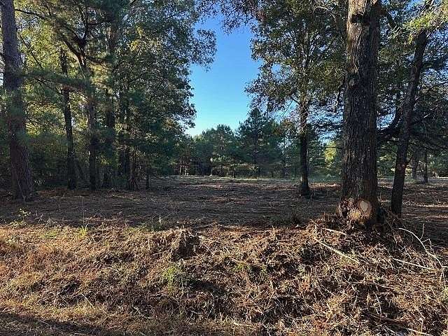 10.8 Acres of Land for Sale in Long Branch, Texas