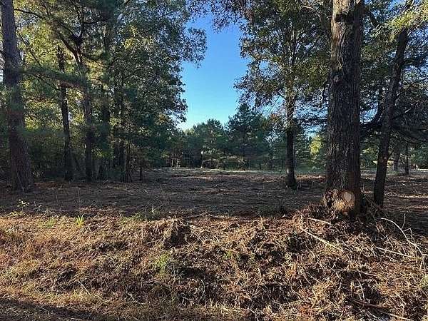 10.8 Acres of Land for Sale in Long Branch, Texas