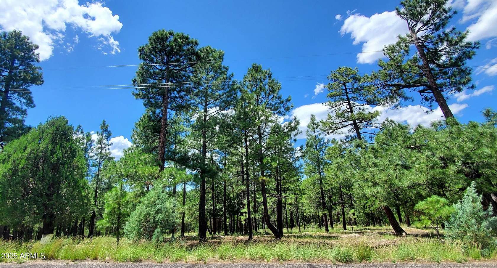 1.38 Acres of Land for Sale in Happy Jack, Arizona