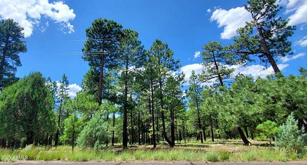1.38 Acres of Land for Sale in Happy Jack, Arizona