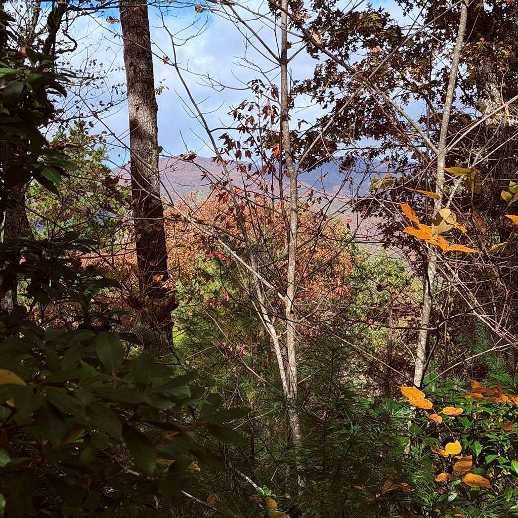 Residential Land for Sale in Murphy, North Carolina