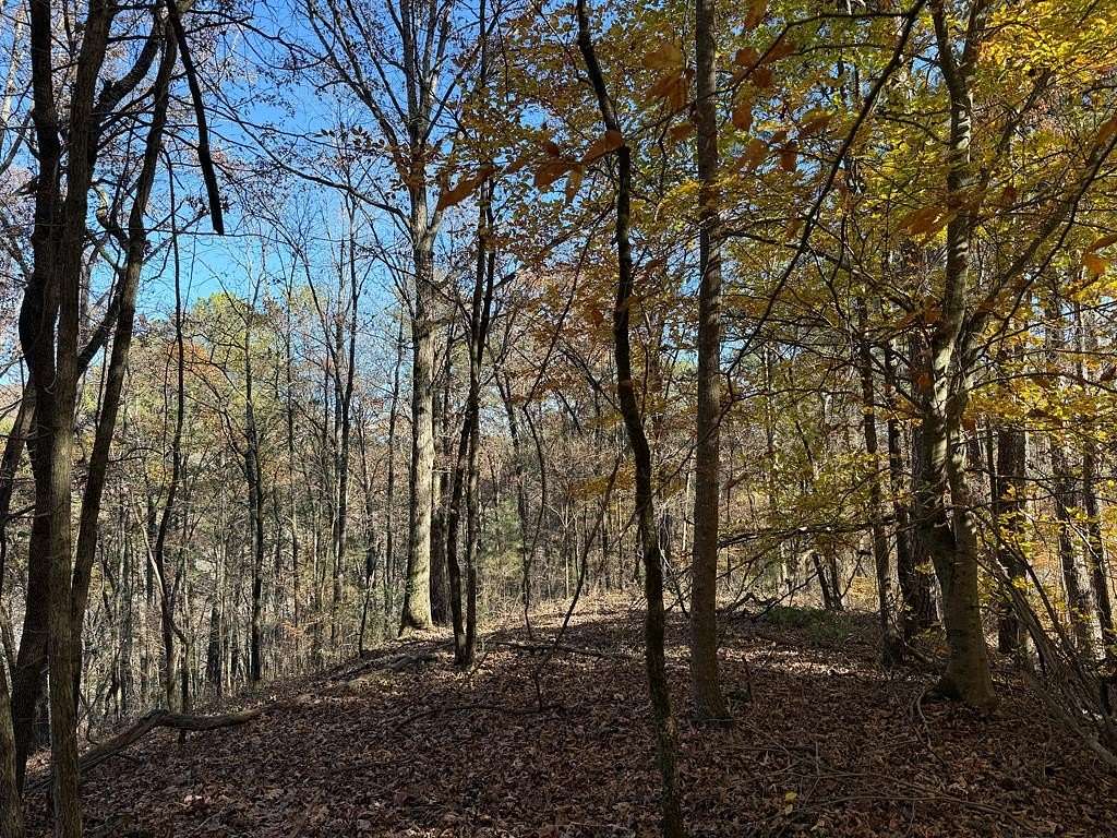 12.4 Acres of Land for Sale in Talking Rock, Georgia