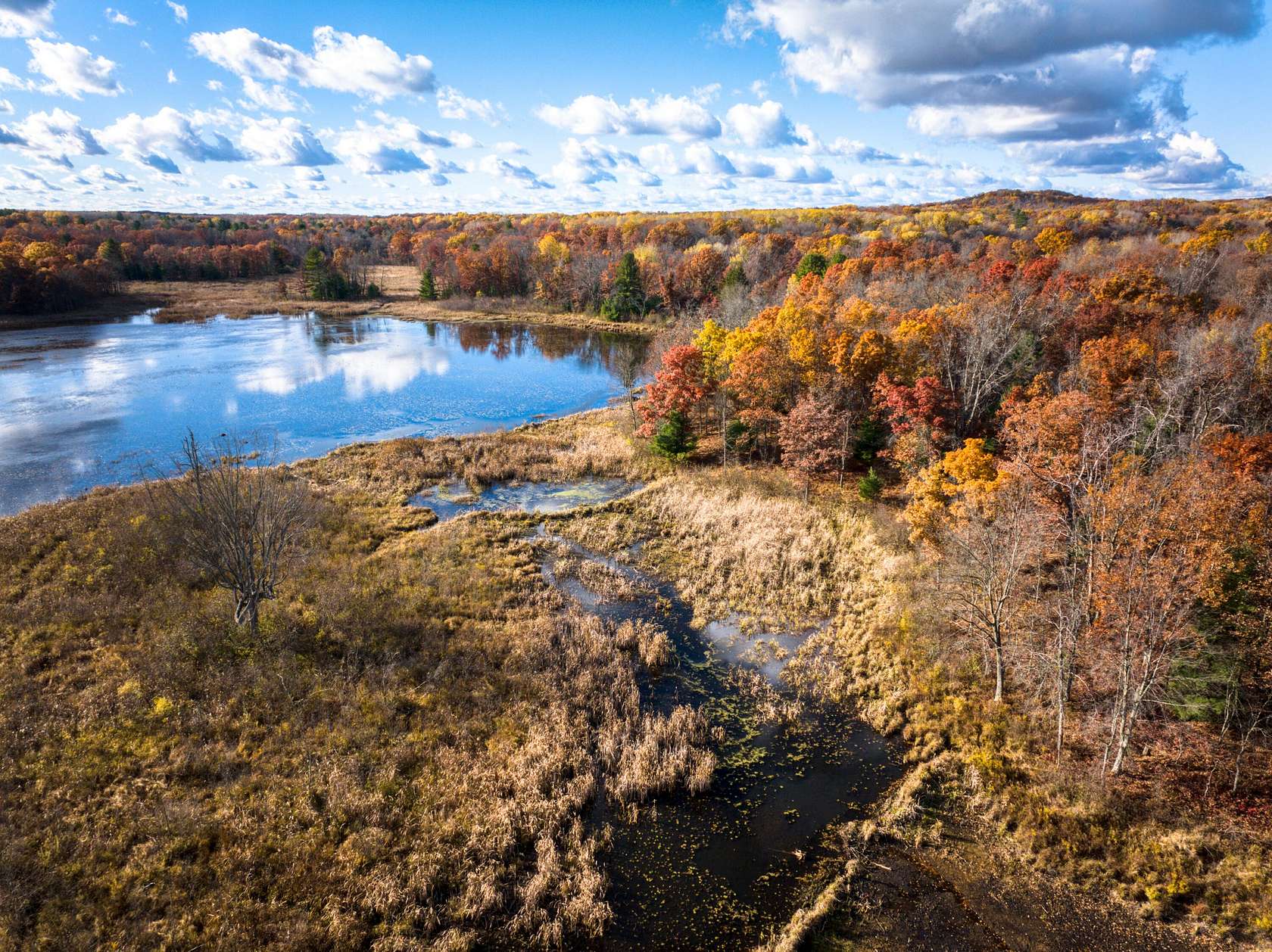 27 Acres of Recreational Land for Sale in White Cloud, Michigan