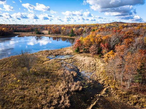 27 Acres of Recreational Land for Sale in White Cloud, Michigan