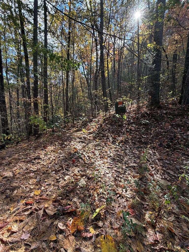 Residential Land for Sale in Murphy, North Carolina