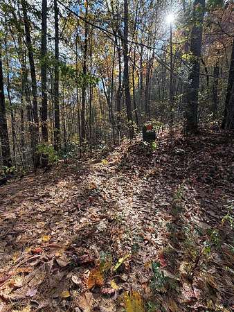 Residential Land for Sale in Murphy, North Carolina