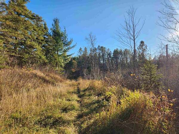40 Acres of Recreational Land for Sale in Washburn, Wisconsin