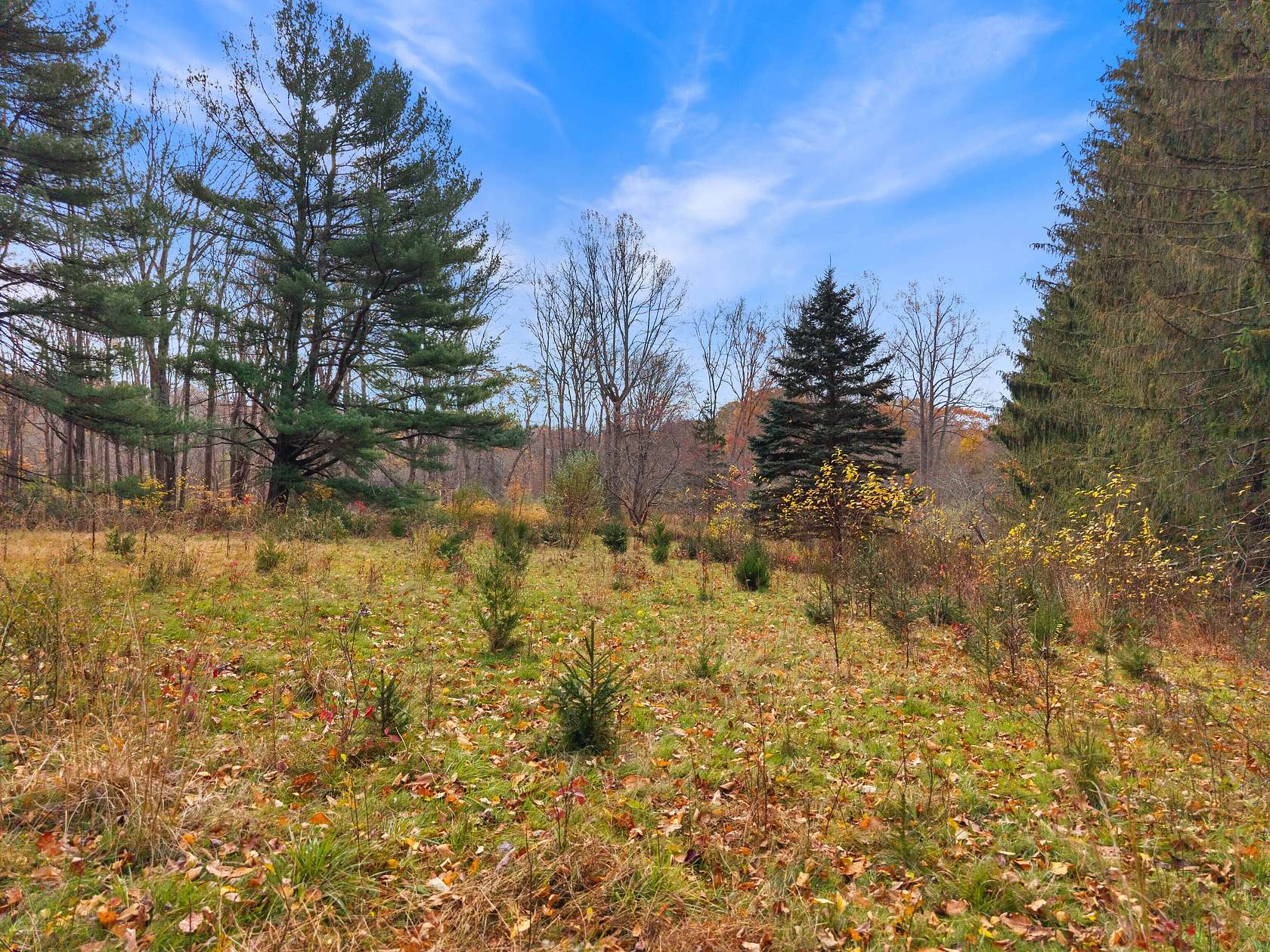 26.2 Acres of Land for Sale in Madison, Connecticut