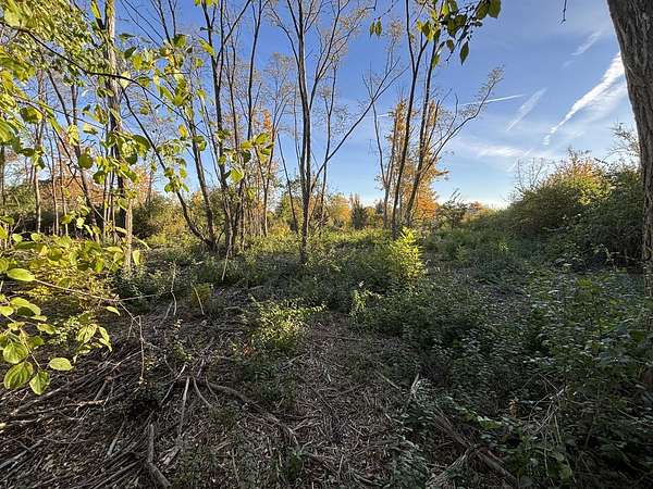 1 Acre of Residential Land for Sale in Mokena, Illinois