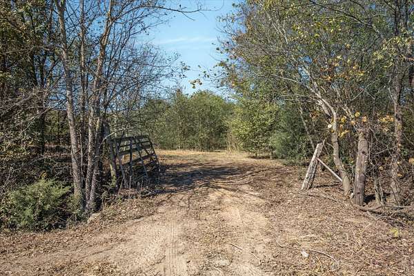 5 Acres of Residential Land for Sale in Wills Point, Texas