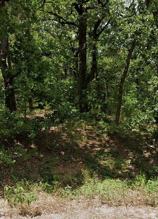 0.49 Acres of Land for Sale in Log Cabin, Texas