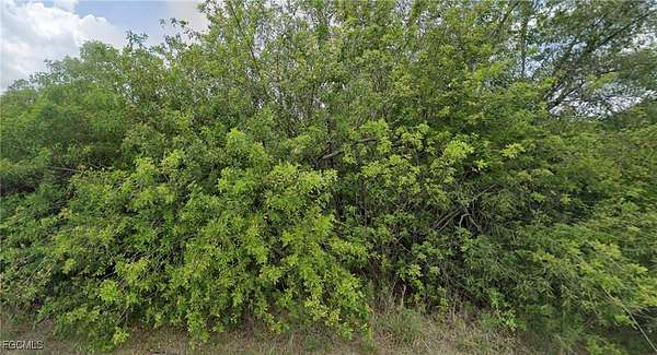 0.5 Acres of Residential Land for Sale in Lehigh Acres, Florida