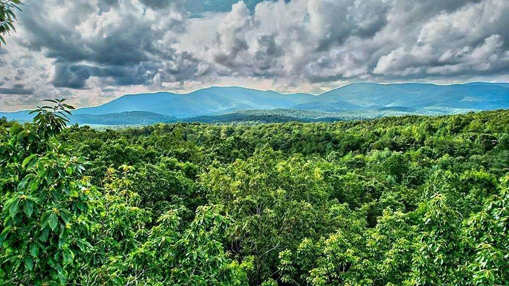 17 Acres of Land for Sale in Ellijay, Georgia