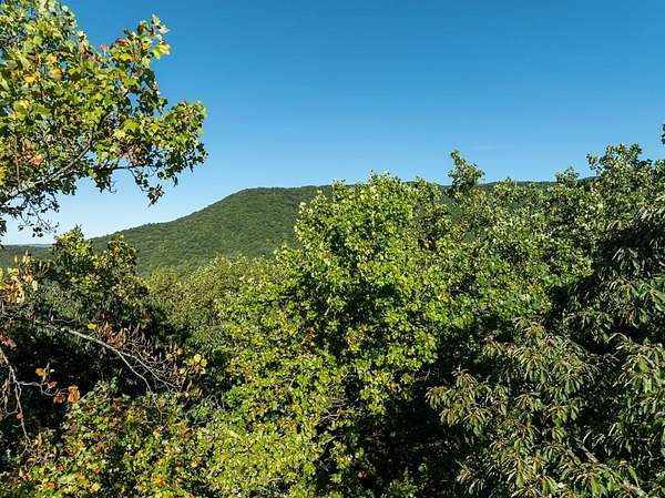 5.1 Acres of Residential Land for Sale in Ellijay, Georgia