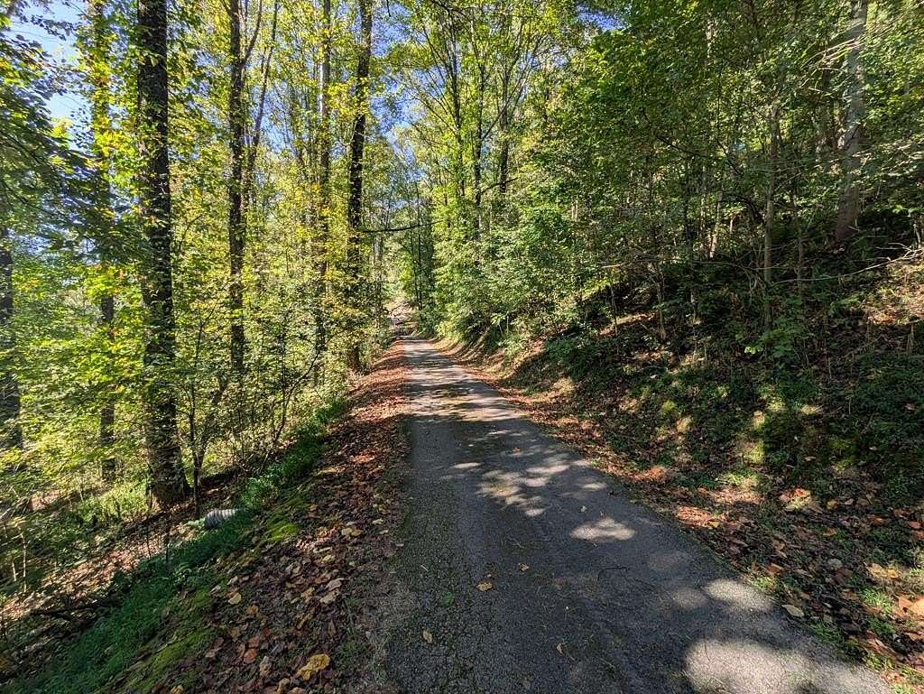 5.38 Acres of Residential Land for Sale in Oakwood, Virginia