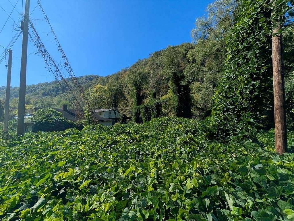 0.22 Acres of Land for Sale in Grundy, Virginia