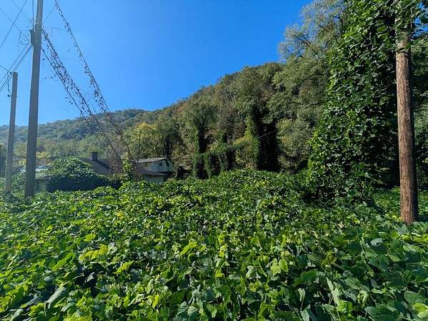 0.22 Acres of Land for Sale in Grundy, Virginia