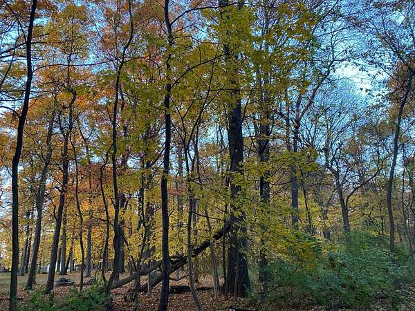 0.45 Acres of Residential Land for Sale in Three Rivers, Michigan