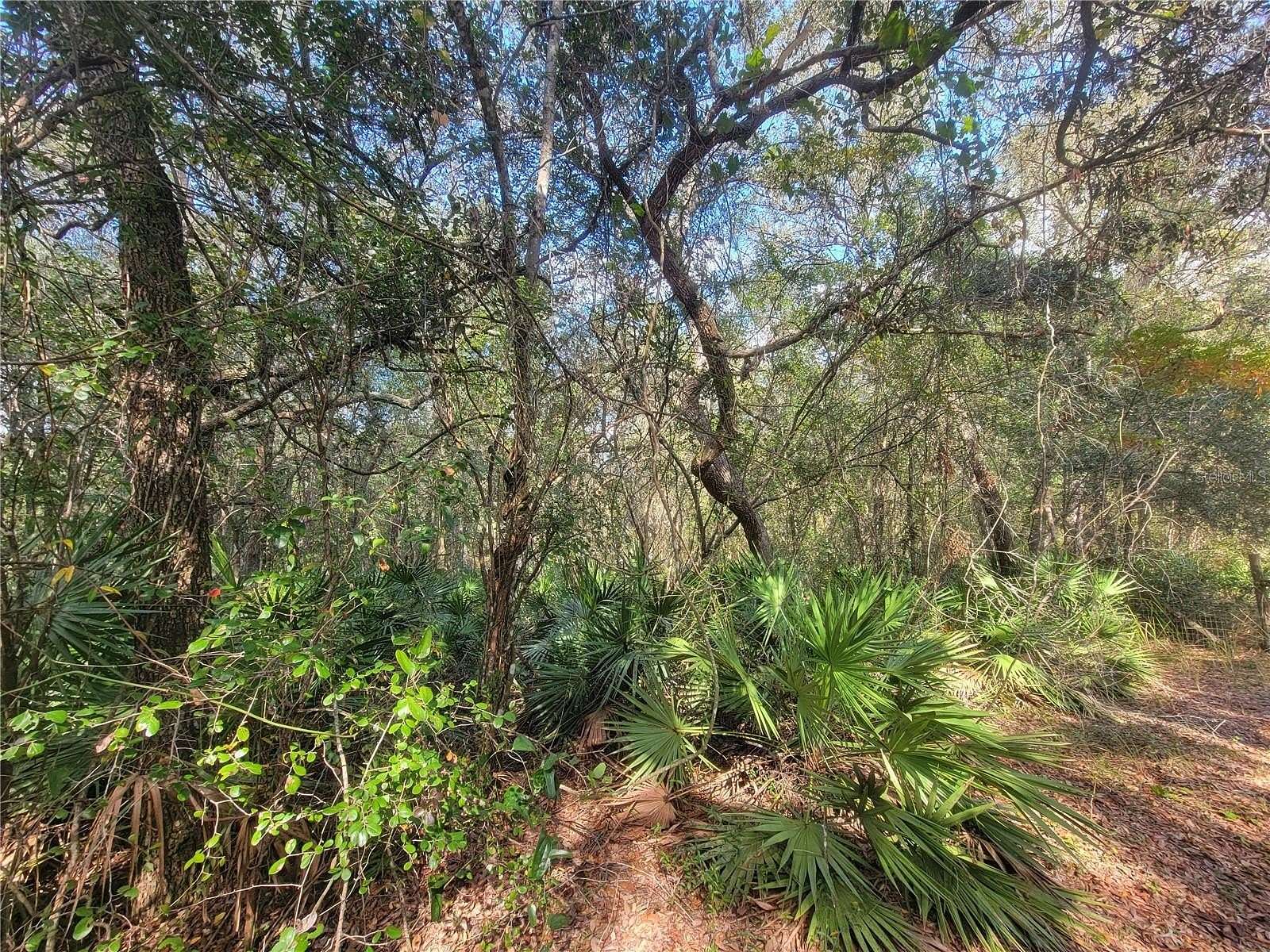 0.47 Acres of Residential Land for Sale in Webster, Florida