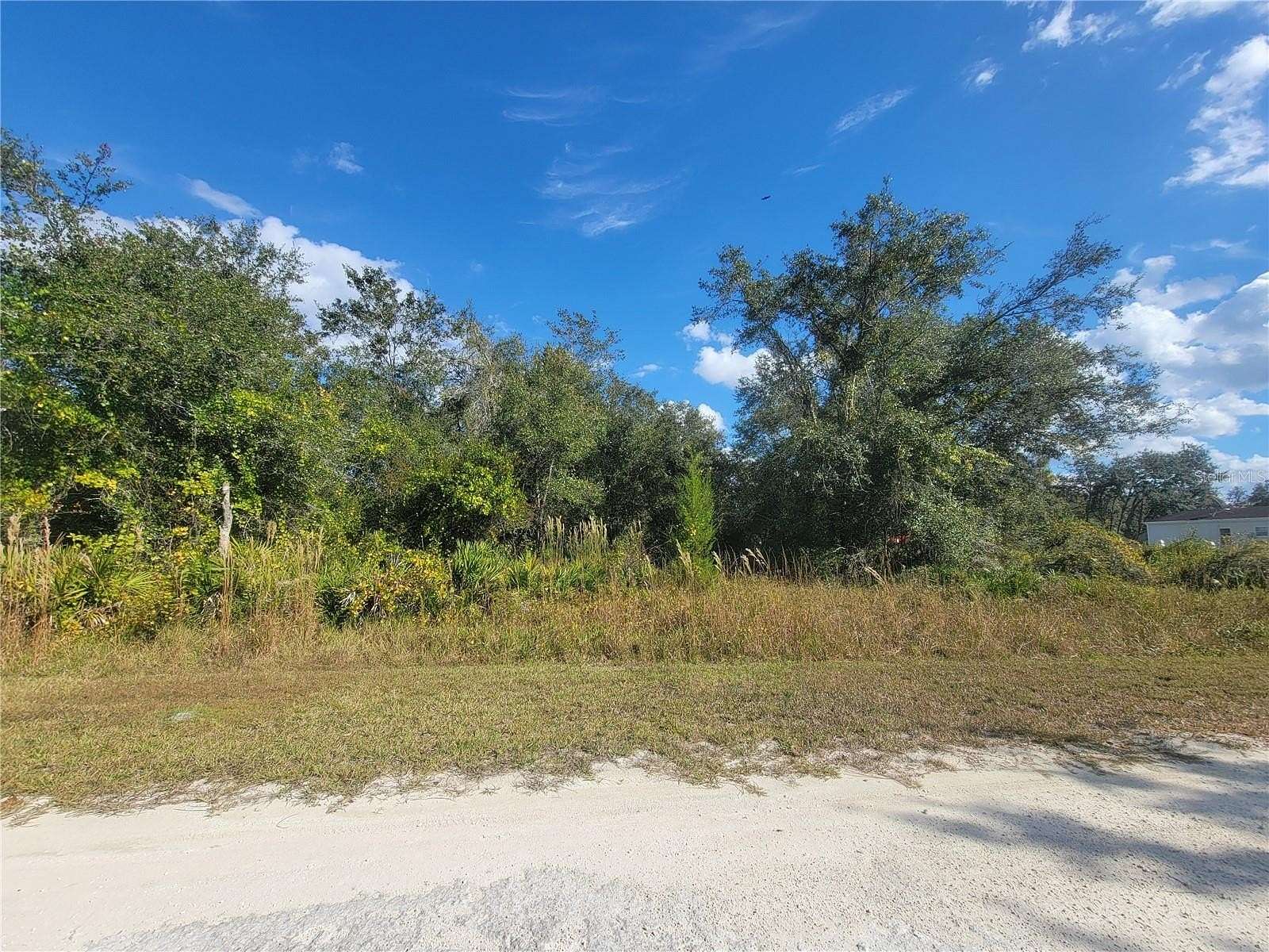 0.24 Acres of Residential Land for Sale in Webster, Florida