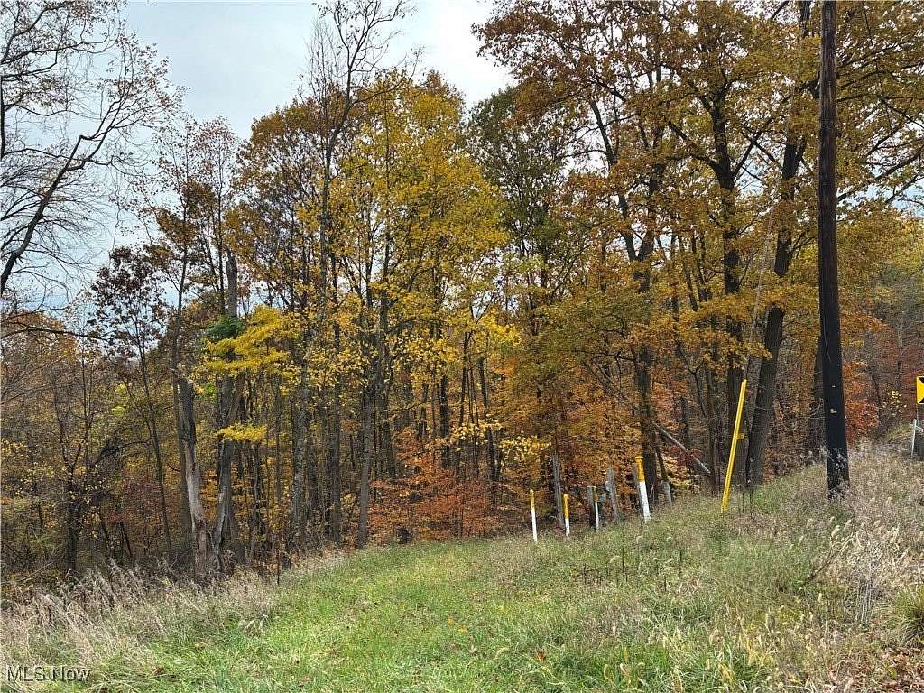 36.3 Acres of Recreational Land for Sale in New Concord, Ohio