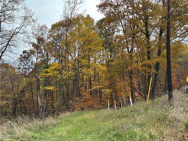 36.3 Acres of Recreational Land for Sale in New Concord, Ohio