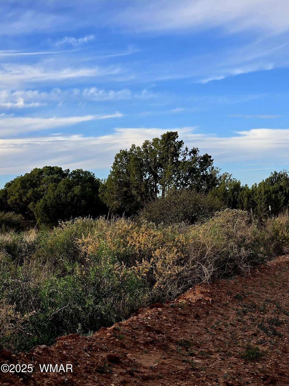 2.36 Acres of Land for Sale in Snowflake, Arizona