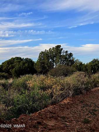 2.36 Acres of Land for Sale in Snowflake, Arizona