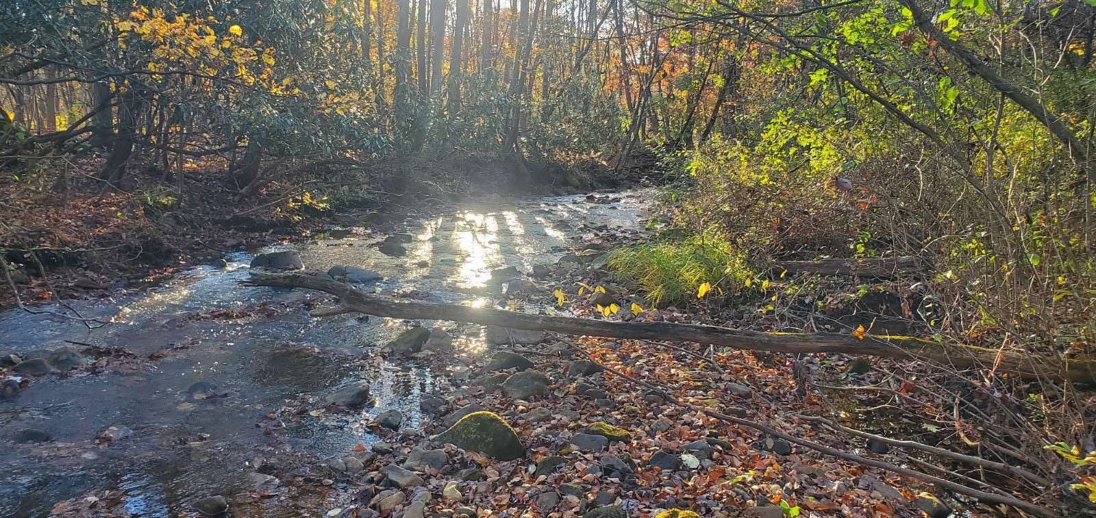 1.25 Acres of Land for Auction in Bruceton Mills, West Virginia