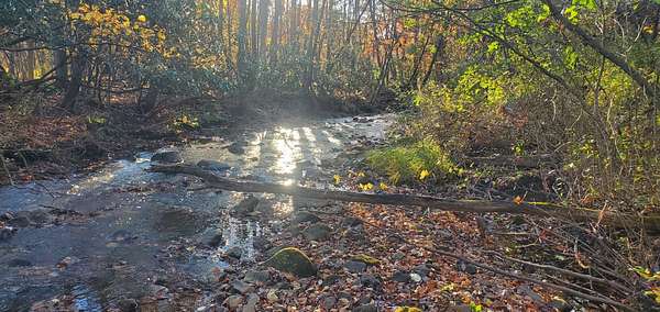 1.25 Acres of Land for Auction in Bruceton Mills, West Virginia
