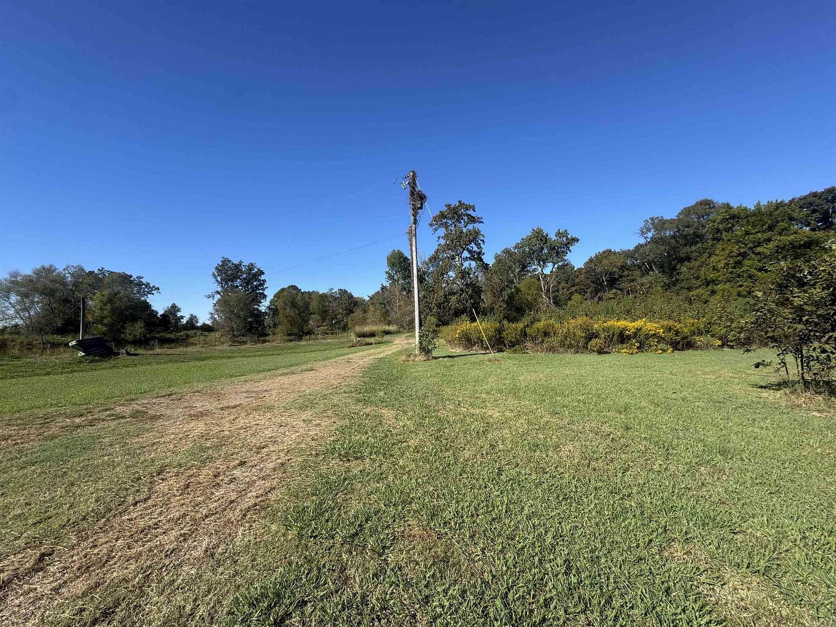 77.6 Acres of Recreational Land & Farm for Sale in Stuttgart, Arkansas