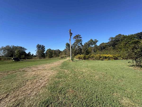 77.6 Acres of Recreational Land & Farm for Sale in Stuttgart, Arkansas