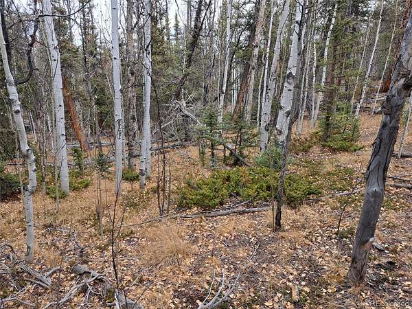 1 Acre of Residential Land for Sale in Como, Colorado