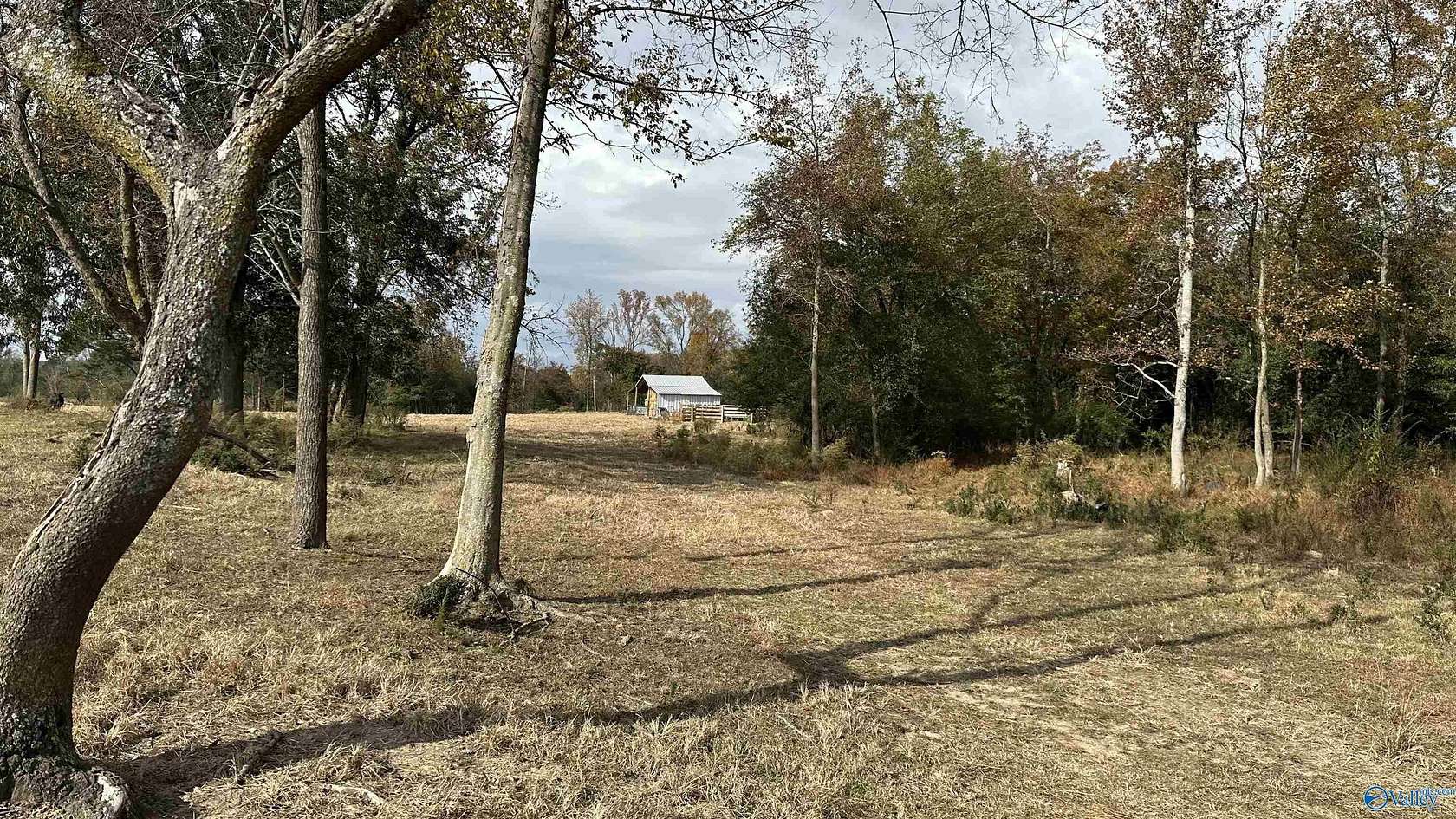 20.7 Acres of Agricultural & Residential Land for Sale in Falkville, Alabama
