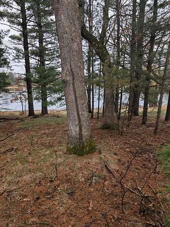 1 Acre of Residential Land for Sale in Wautoma, Wisconsin