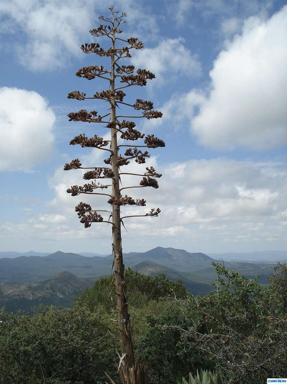 404 Acres of Recreational Land for Sale in Silver City, New Mexico