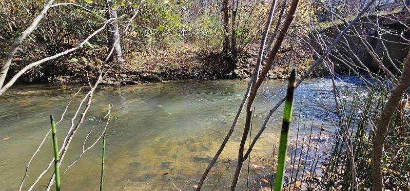 52.1 Acres of Recreational Land for Sale in Dunlap, Tennessee