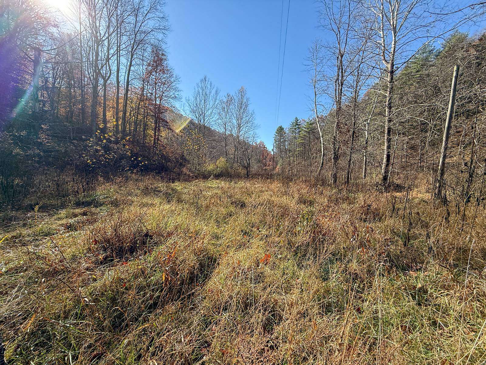 54 Acres of Recreational Land for Sale in Sutton, West Virginia