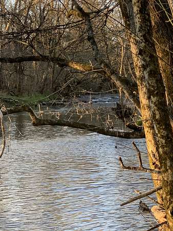 5.59 Acres of Residential Land for Sale in Columbia, Tennessee