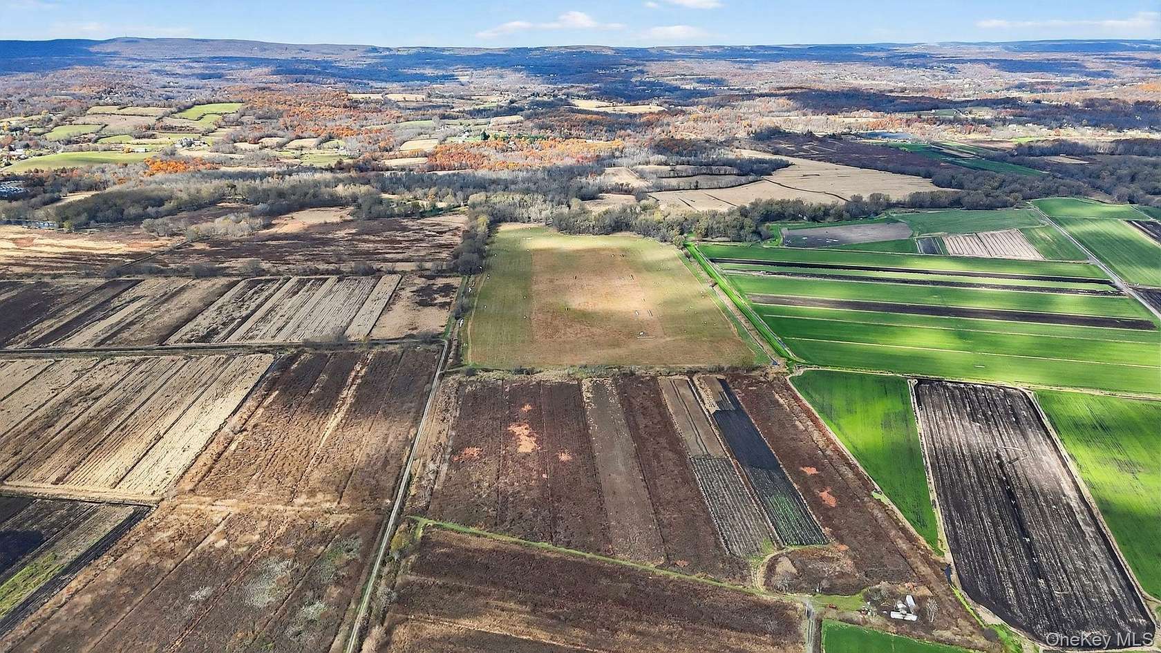 24.5 Acres of Agricultural Land with Home for Sale in Pine Island, New York